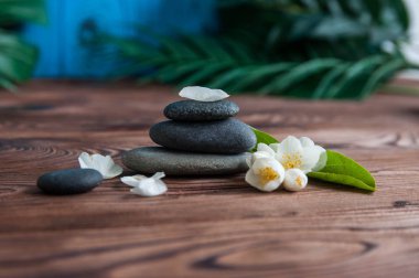 Gri Zen taşlarından piramitler, güzel taze beyaz çiçekler, ahşap arka planda yeşil yapraklar. Uyum kavramı, denge ve meditasyon, spa, masaj, rahatlama