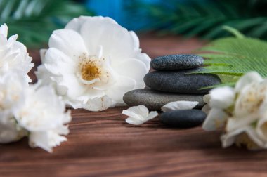 Gri Zen taşlarından piramitler, güzel taze beyaz çiçekler, ahşap arka planda yeşil yapraklar. Uyum kavramı, denge ve meditasyon, spa, masaj, rahatlama