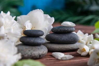 Gri Zen taşlarından piramitler, güzel taze beyaz çiçekler, ahşap arka planda yeşil yapraklar. Uyum kavramı, denge ve meditasyon, spa, masaj, rahatlama