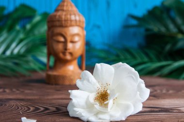 Güzel taze beyaz çiçek yeşil Buda heykeli ahşap arka plan üzerinde bırakır. Uyum, denge ve meditasyon, spa, kavramı masaj, sakin ol