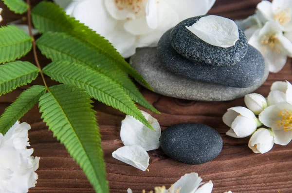 Gri Zen taşlarından piramitler, güzel taze beyaz çiçekler, ahşap arka planda yeşil yapraklar. Uyum kavramı, denge ve meditasyon, spa, masaj, rahatlama