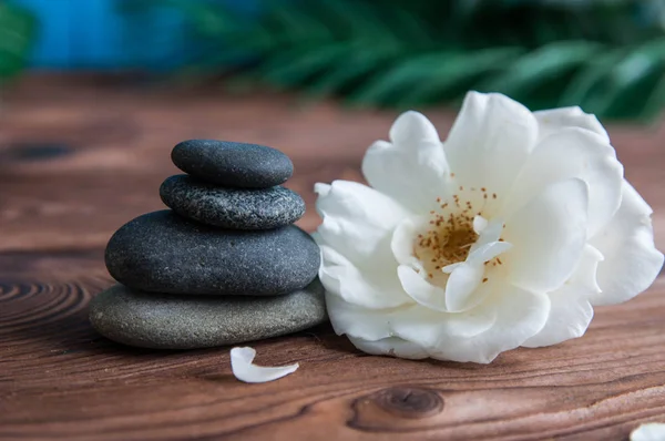 Gri Zen taşlarından piramitler, güzel taze beyaz çiçekler, ahşap arka planda yeşil yapraklar. Uyum kavramı, denge ve meditasyon, spa, masaj, rahatlama