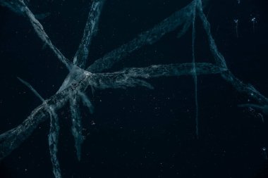 Buz dokusu yakın plan. Sibirya 'daki donmuş Baykal Gölü. Hava ve metan baloncukları ile güzel kırılmış buz. 