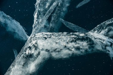 Buz dokusu yakın plan. Sibirya 'daki donmuş Baykal Gölü. Hava ve metan baloncukları ile güzel kırılmış buz. 