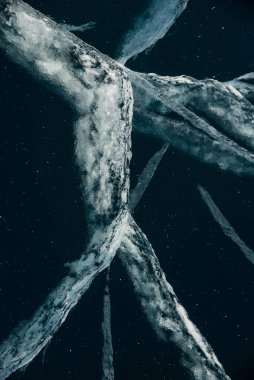 Buz dokusu yakın plan. Sibirya 'daki donmuş Baykal Gölü. Hava ve metan baloncukları ile güzel kırılmış buz. 