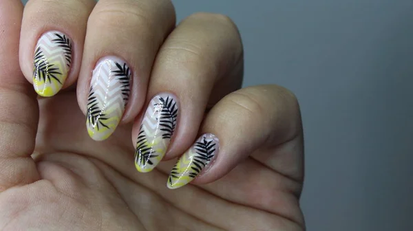 Closeup photo of a beautiful female hands with elegant manicure — Stock Photo, Image