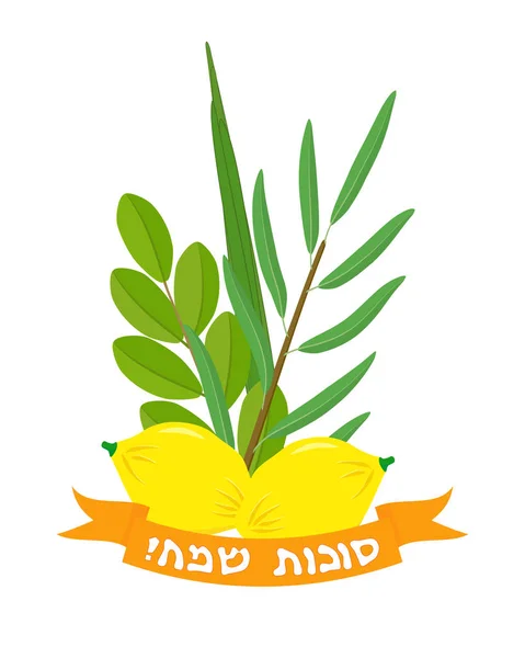 Jüdischer Feiertag Des Sukkot Vier Arten Etrog Zitronenfrucht Lulav Dattelpalme — Stockvektor