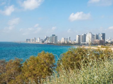 Limanda Tel Aviv içinde günbatımı ışık, plaj sahil Akdeniz üzerinden bağlantı noktası Eski Yafa'nın İsrail'in görünümünü