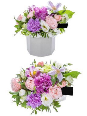 Taze, yemyeşil renkli çiçekler, beyaz arka planda izole edilmiş..