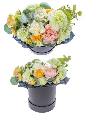 Taze, yemyeşil renkli çiçekler, beyaz arka planda izole edilmiş..