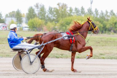 Russia, Novosibirsk, September 5, 2015: Horse racing at the racetrack. City competitions. clipart