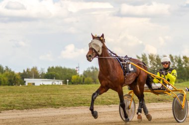 Rusya, Novosibirsk, 5 Eylül 2015: yarış pistinde at yarışı. Şehir yarışmalar.