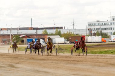 Rusya, Novosibirsk, 5 Eylül 2015: yarış pistinde at yarışı. Şehir yarışmalar.