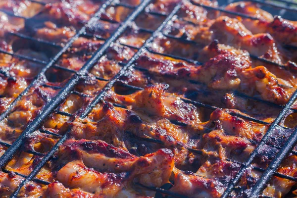 Grilled Chicken Garden Barbeque — Stock Photo, Image