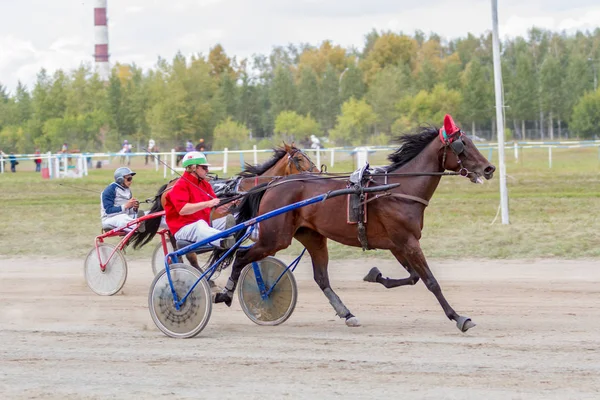 Russie Novossibirsk Septembre 2015 Courses Hippiques Sur Hippodrome Concours Municipaux — Photo