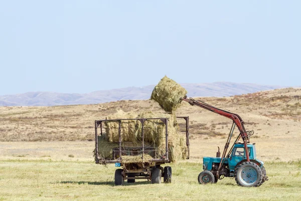 Tractor Descarga Fardos Heno Campo — Foto de Stock