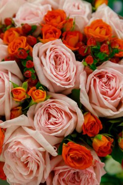 Arkaplan olarak güller