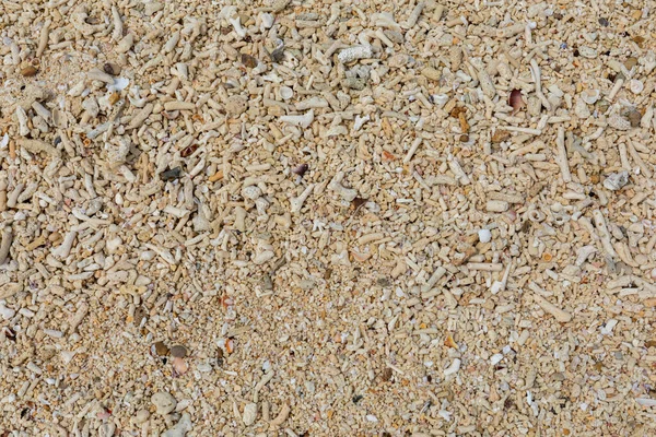 Koralowce Muszelkami Żółtym Piasku Żółty Piasek Letnie Tło Plaży Widok — Zdjęcie stockowe