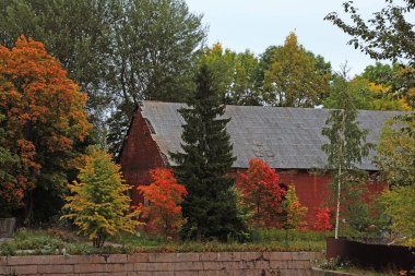 Parkta sonbahar ağaçları