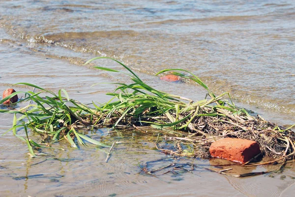 Herbe Verte Briques Orange Sur Rivage — Photo