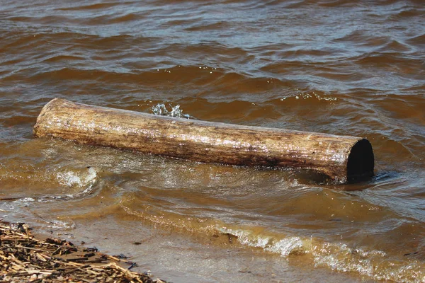 Une Bûche Mouillée Dans Eau Rivage — Photo