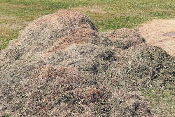 Een Stapel Van Het Gemaaide Gras Wei — Stockfoto