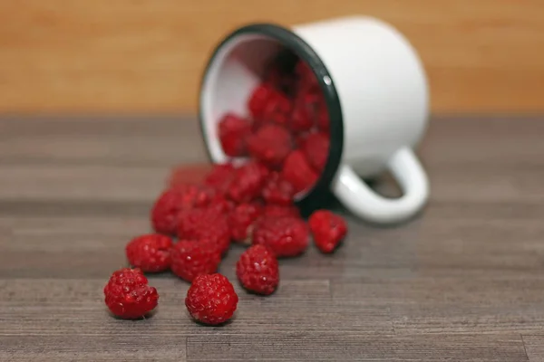 Raspberry Berries Poured Enamel Cup — Stock Photo, Image