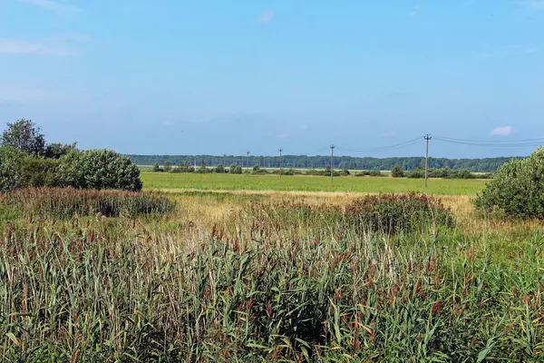 Paisaje Rural Campo Bosque — Foto de Stock