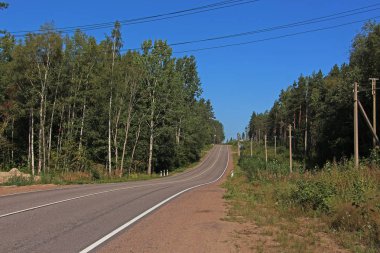 Ormanın içinden geçen asfalt yol