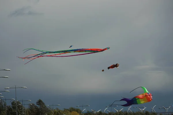 September 2018 Russia Petersburg Kite Festival — Stock Photo, Image