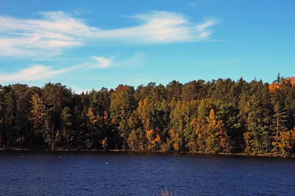 Forêt Automne Sur Lac — Photo