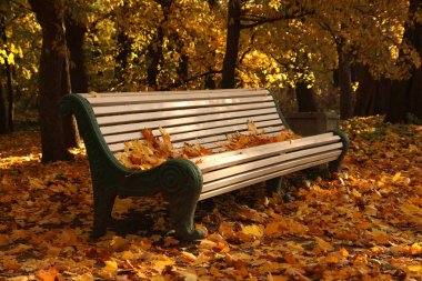 Sonbahar parkta düşen yapraklar ile tezgah