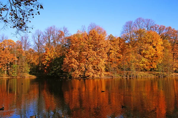 Autumn Trees River — Stock Photo, Image