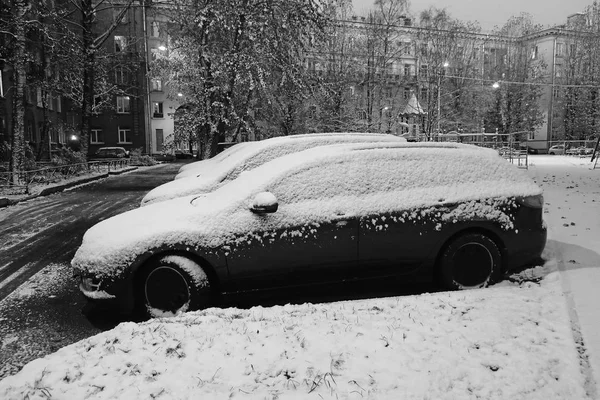 Черно Белые Припаркованные Машины Покрытые Снегом После Метели — стоковое фото