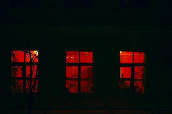 Fenêtres Lumineuses Appartement Nuit Chaque Occupant Propre Intimité — Photo