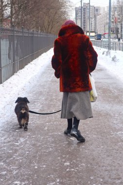 bir kış sokak boyunca yürüyen bir köpek ile kürk mantolu bir kadın