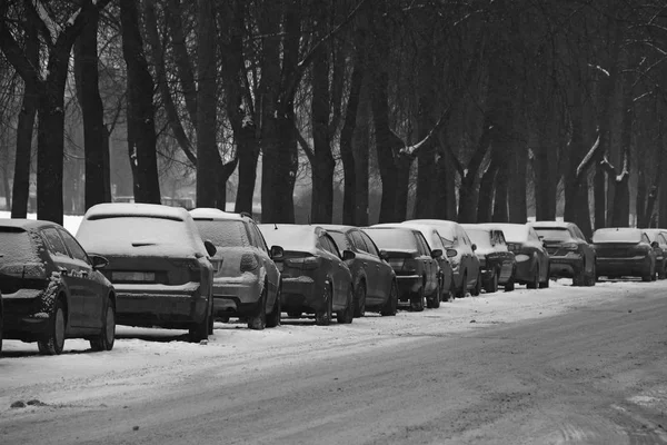 Черно Белые Снежные Машины Припаркованные Обочине Дороги Возле Городского Парка — стоковое фото
