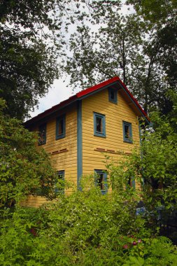 dacha de ağaçların arasında eski bir sarı iki katlı yazlık