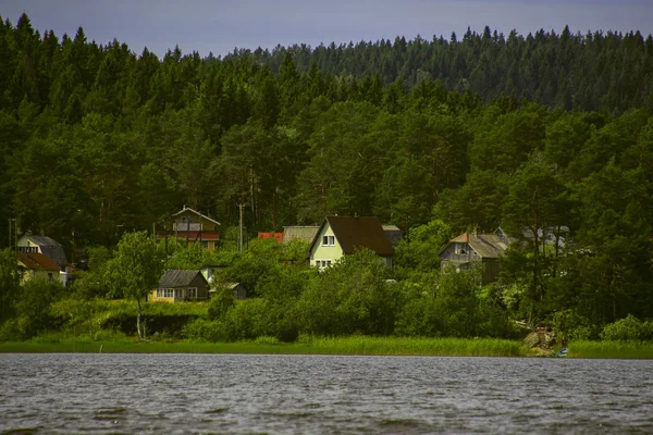 Village Houses Forest Lake — Stock Photo, Image