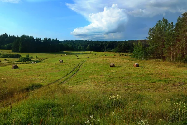 Campo Fardos Heno Rodeado Bosque Una Carretera Kalea Retorcida — Foto de Stock