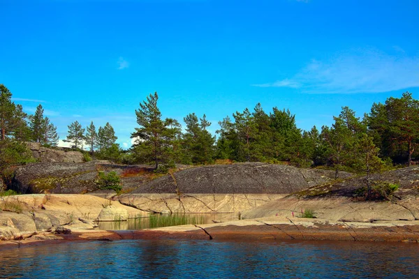 Carélie Forêt Sur Les Rochers Bord Lac Sous Ciel Bleu — Photo