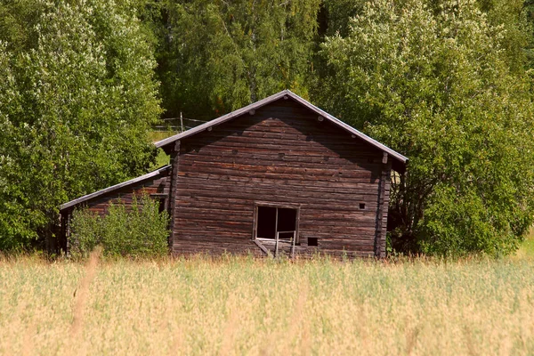 Stará Opuštěný Vratká Stodola Kraji Lesa — Stock fotografie