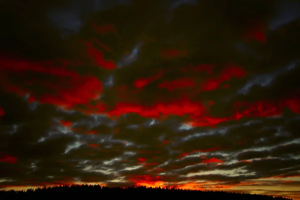 Felhős Égbolt Erdő Felett Háttérvilágítással Bíbor Színben Napsugarak Naplementekor — Stock Fotó