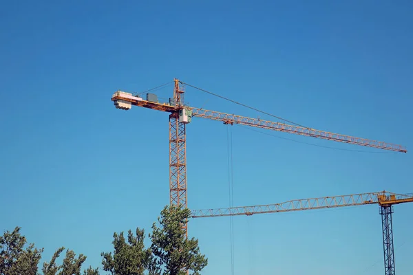 Zwei Turmdrehkräne Auf Einer Baustelle Die Über Bäume Ragt — Stockfoto