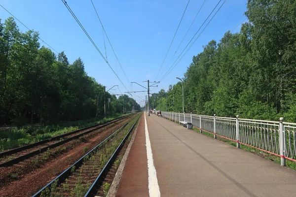Spoorbanen Een Geasfalteerd Perronperron Met Een Witte Grenslijn Aan Rand — Stockfoto