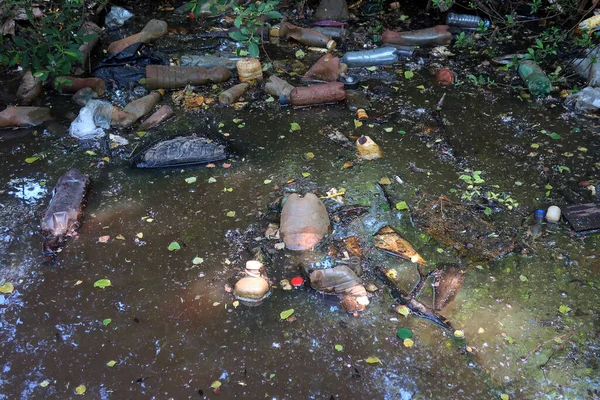 Környezetszennyezés Hulladéklerakó Sáros Vízben Lebegő Kidobott Műanyag Palackok Fák Árnyékában — Stock Fotó