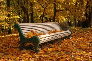Bir sonbahar parkında, yere düşen yaprakların arasında ve koltukta bir bank.