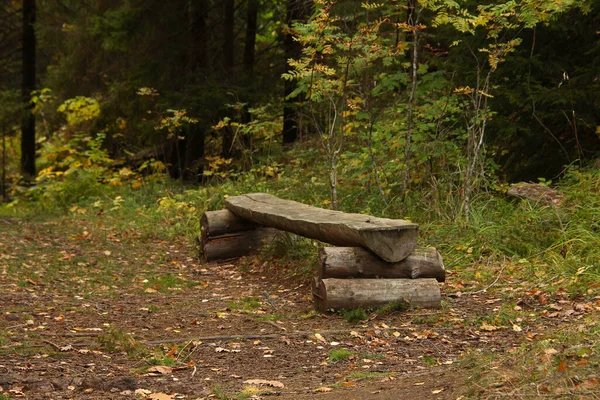 Banc Bois Brutal Rondins Bord Forêt — Photo