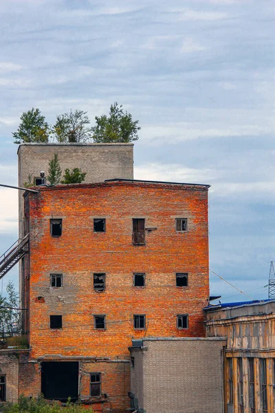 Ruínas Edifícios Tijolos Antigos Com Árvores Crescendo Telhado — Fotografia de Stock
