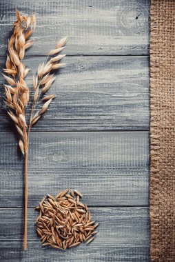 yulaf ahşap zemin üzerinde kulakları